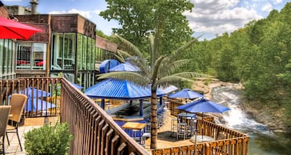 The Woodlands