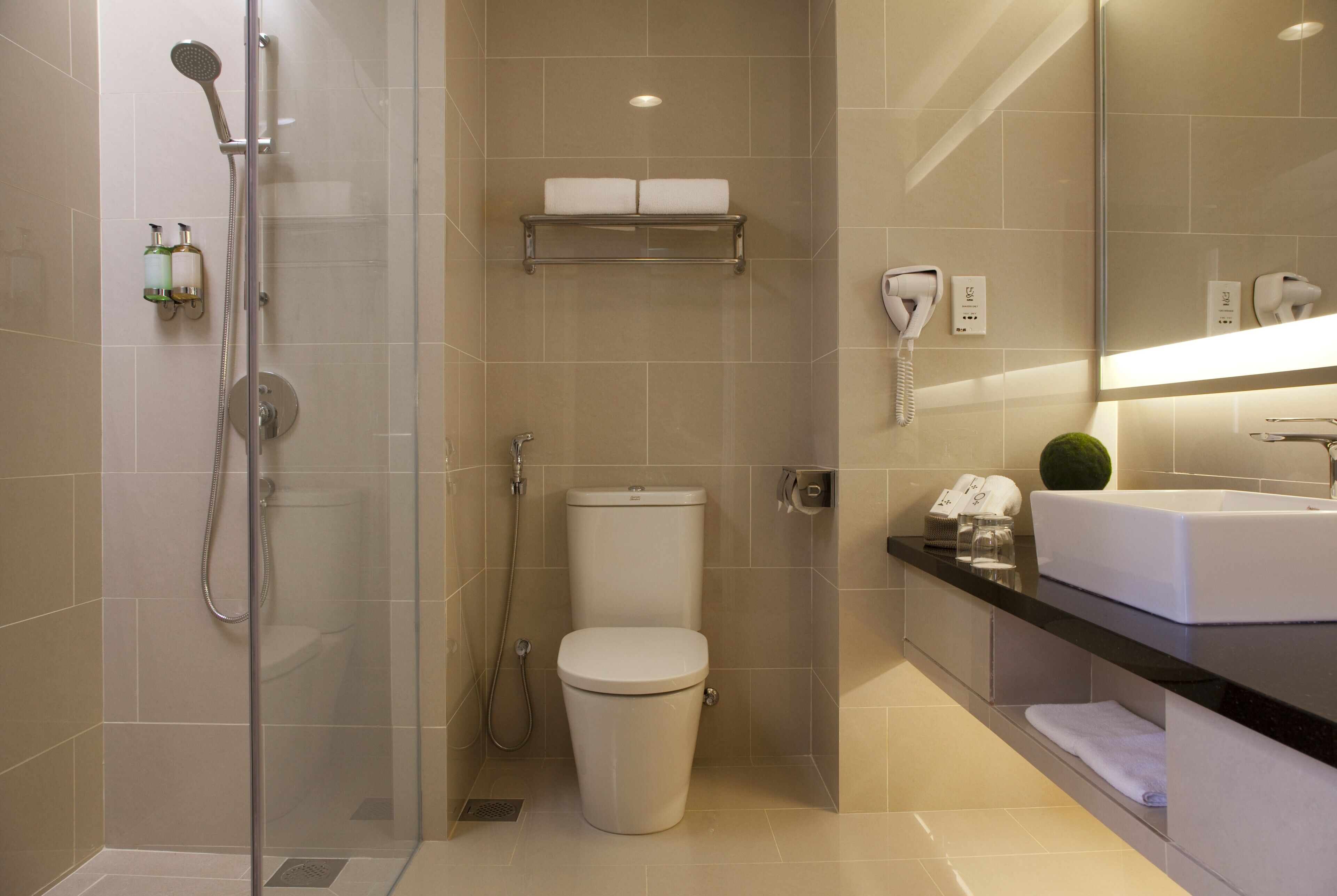 shower, free toiletries, hair dryer, towels