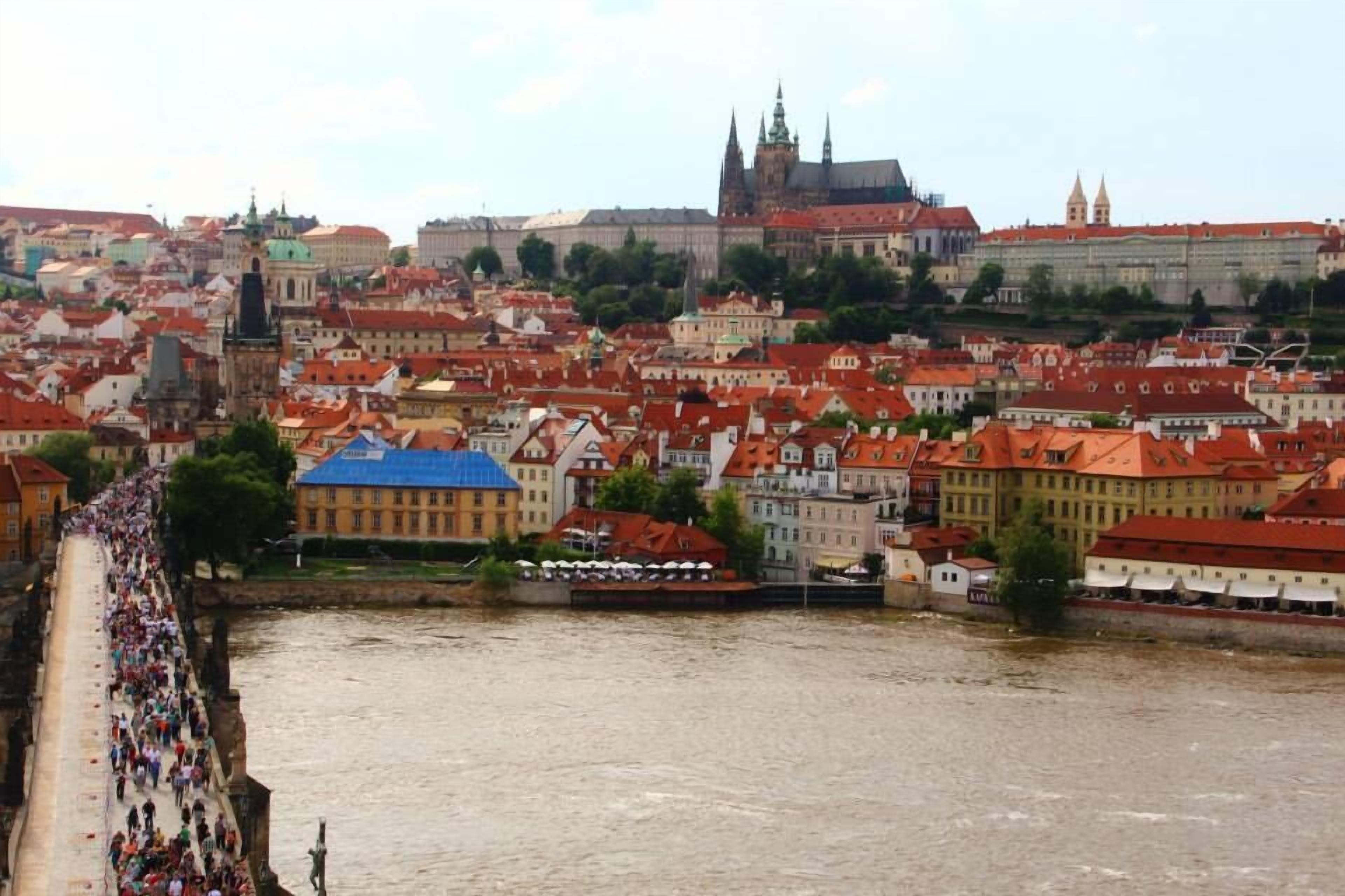 Photo - Ambassador Zlata Husa