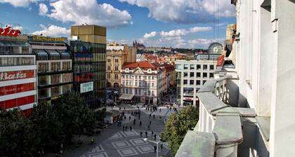 Ambassador Zlatá husa