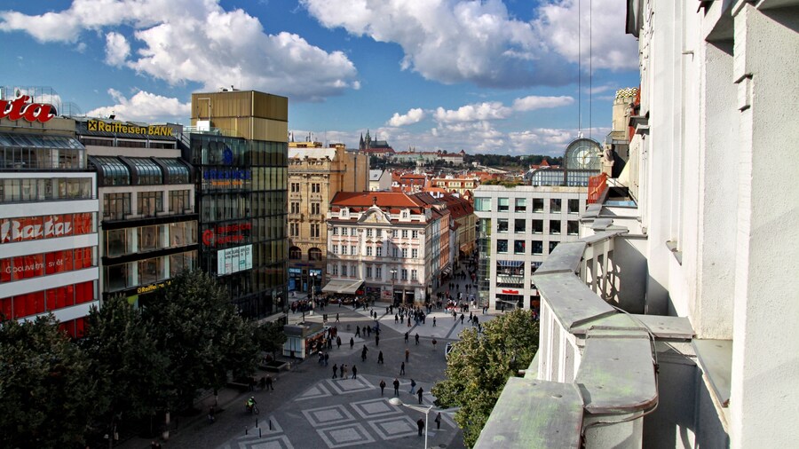 Ambassador Zlatá husa