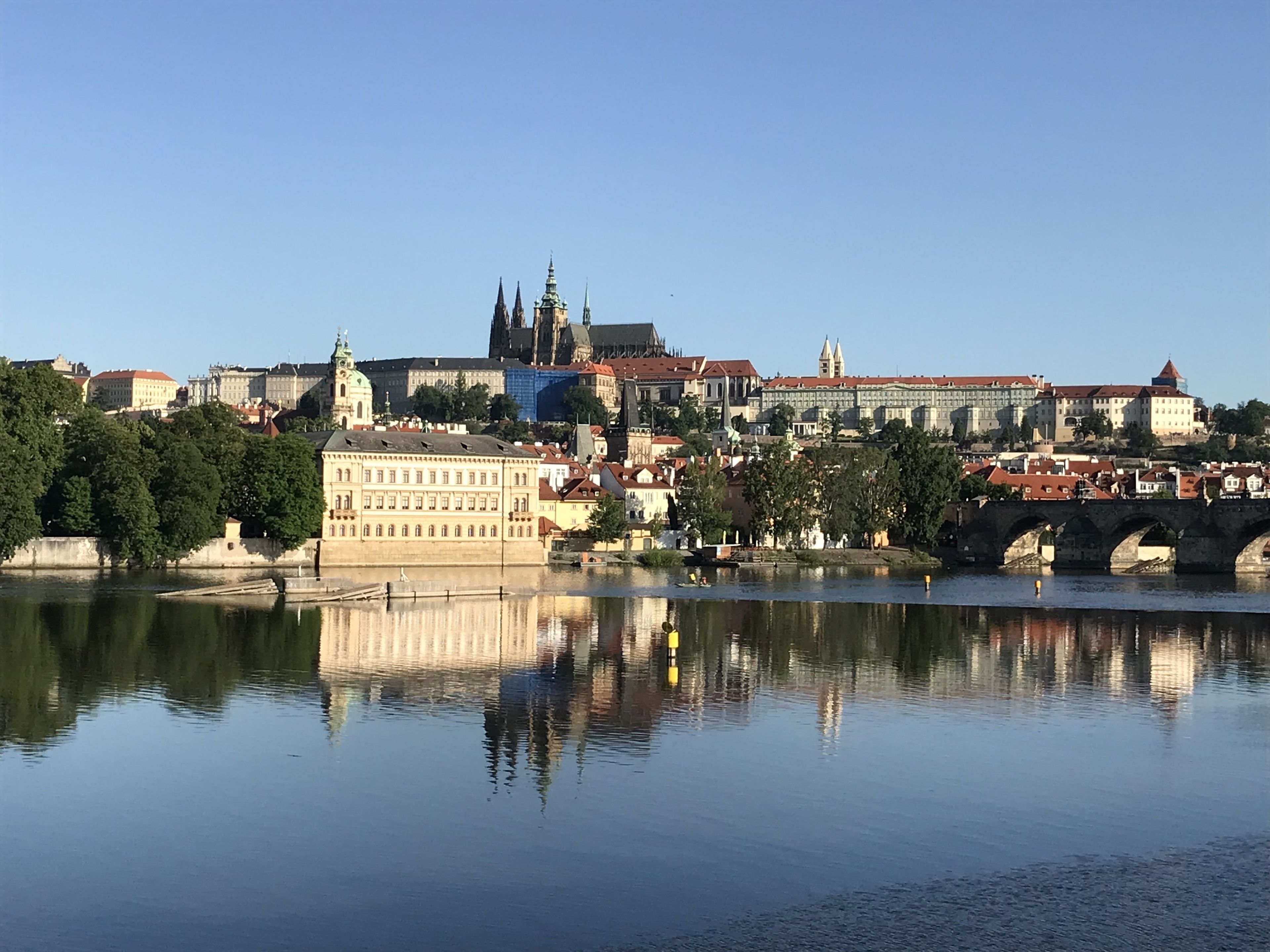 Photo - Ambassador Zlata Husa