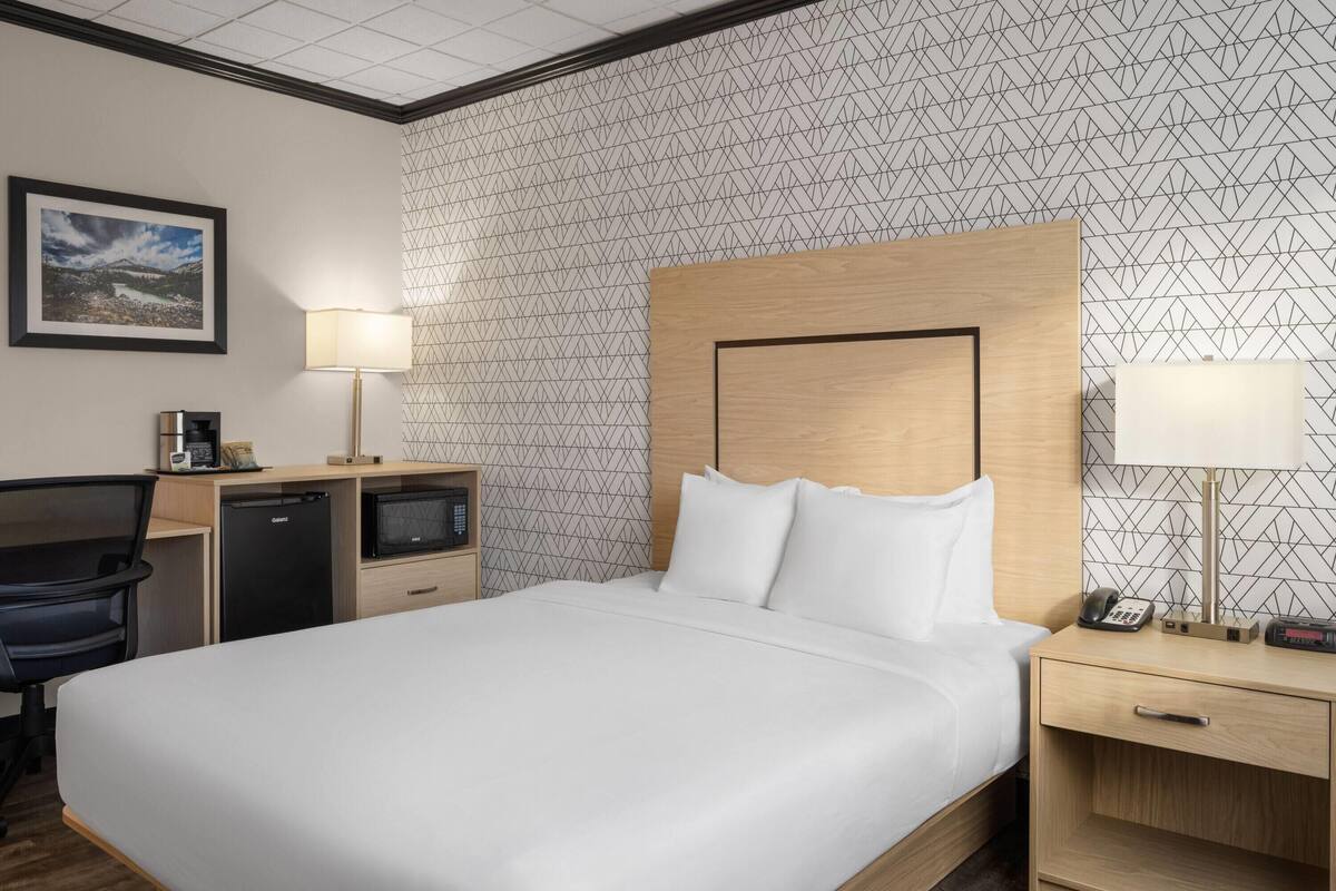 A hotel room with a bed, desk, and chair. There is a lamp on the desk and a lamp on the bedside table. The walls have a geometric pattern.