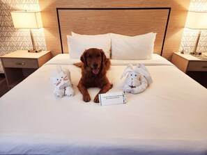 Peralatan tempat tidur hipoalergenik, peti besi dalam bilik, meja 