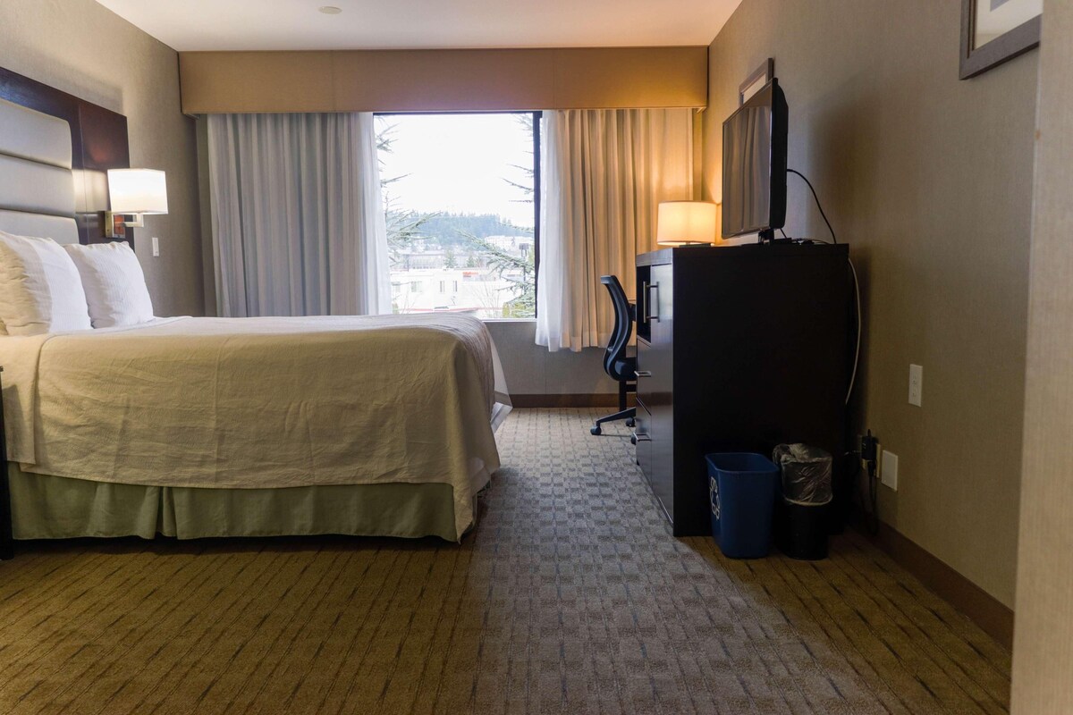 A hotel room with a bed, a desk, a TV, and a view of the outside.