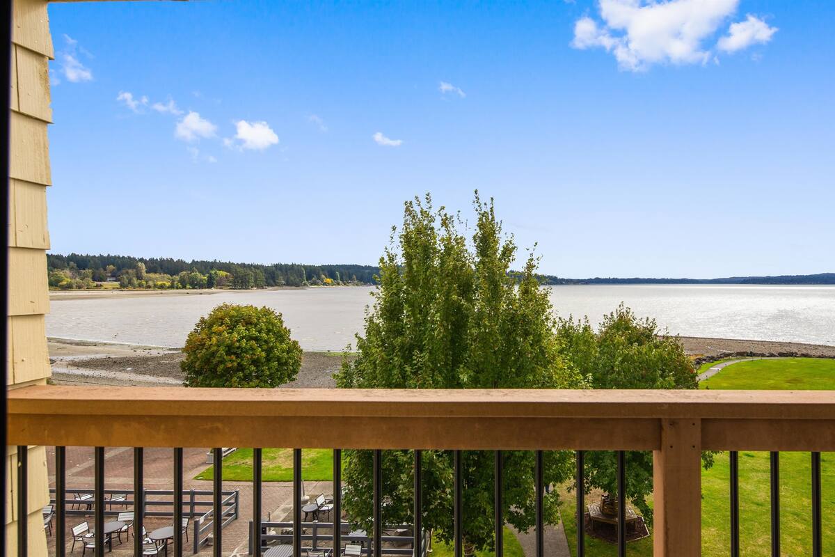 Uitzicht vanaf een balkon op een rivier, met een gebouw op de voorgrond en een bebost gebied in de verte.