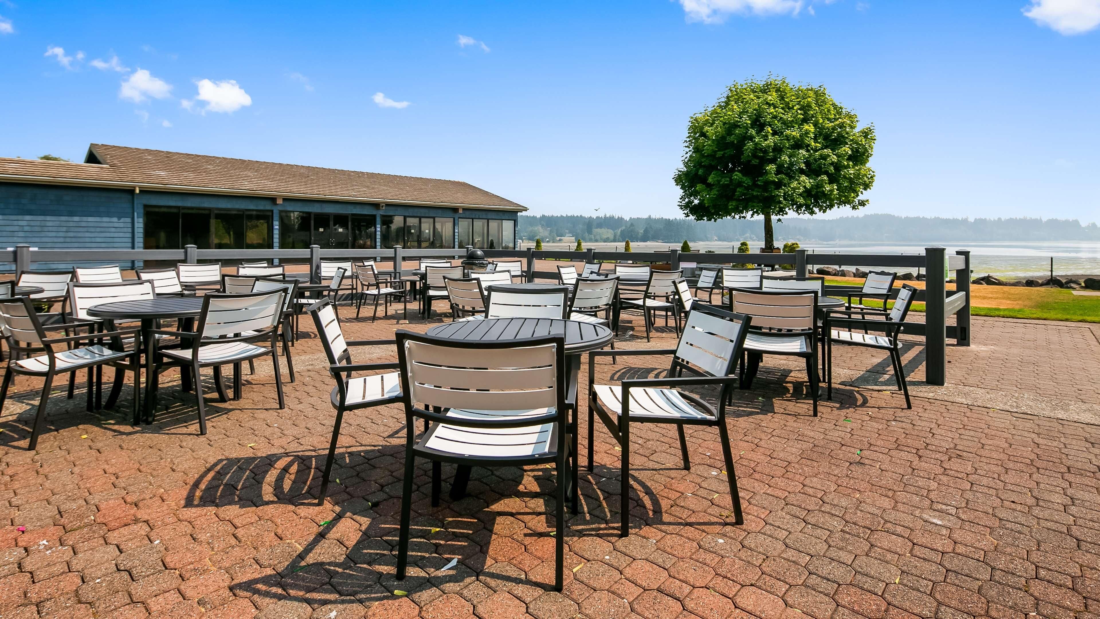 An outdoor seating area with tables and chairs, a tree, and a view of the water.