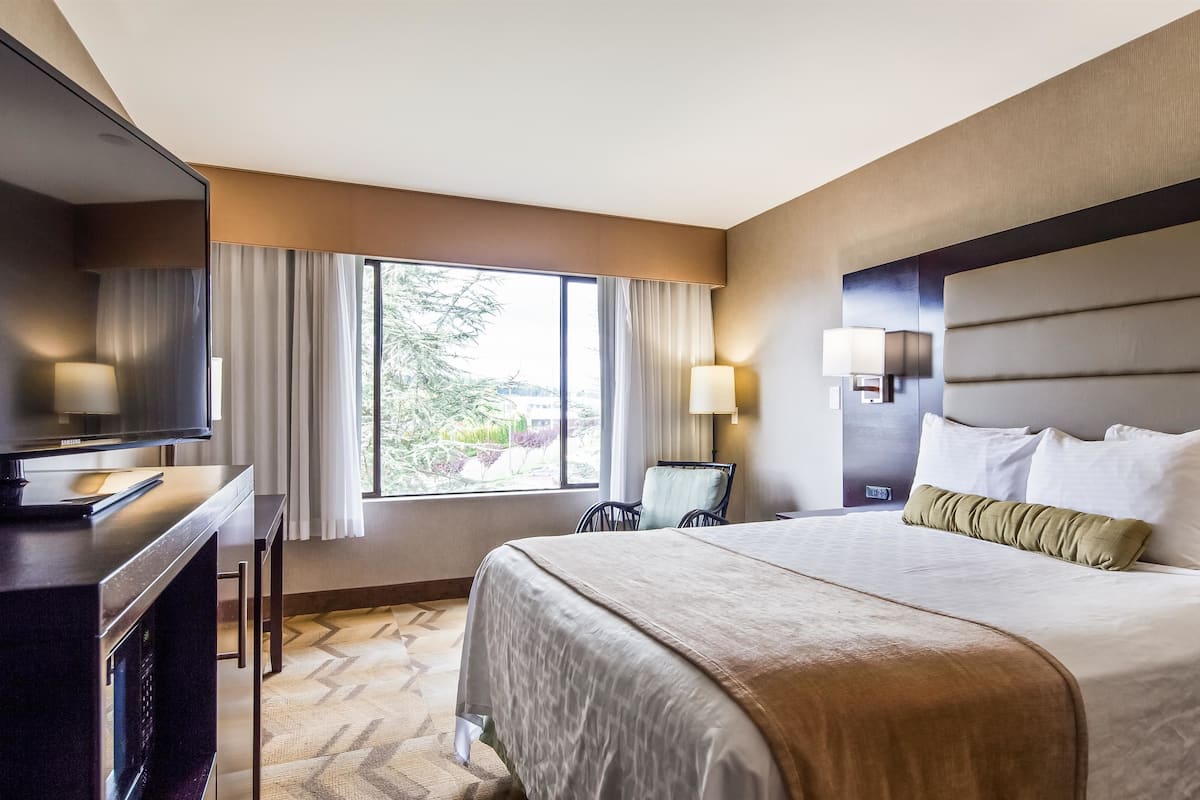 Hotelkamer met een groot bed, een bureau, een flatscreen televisie, een stoel en een raam met gordijnen.