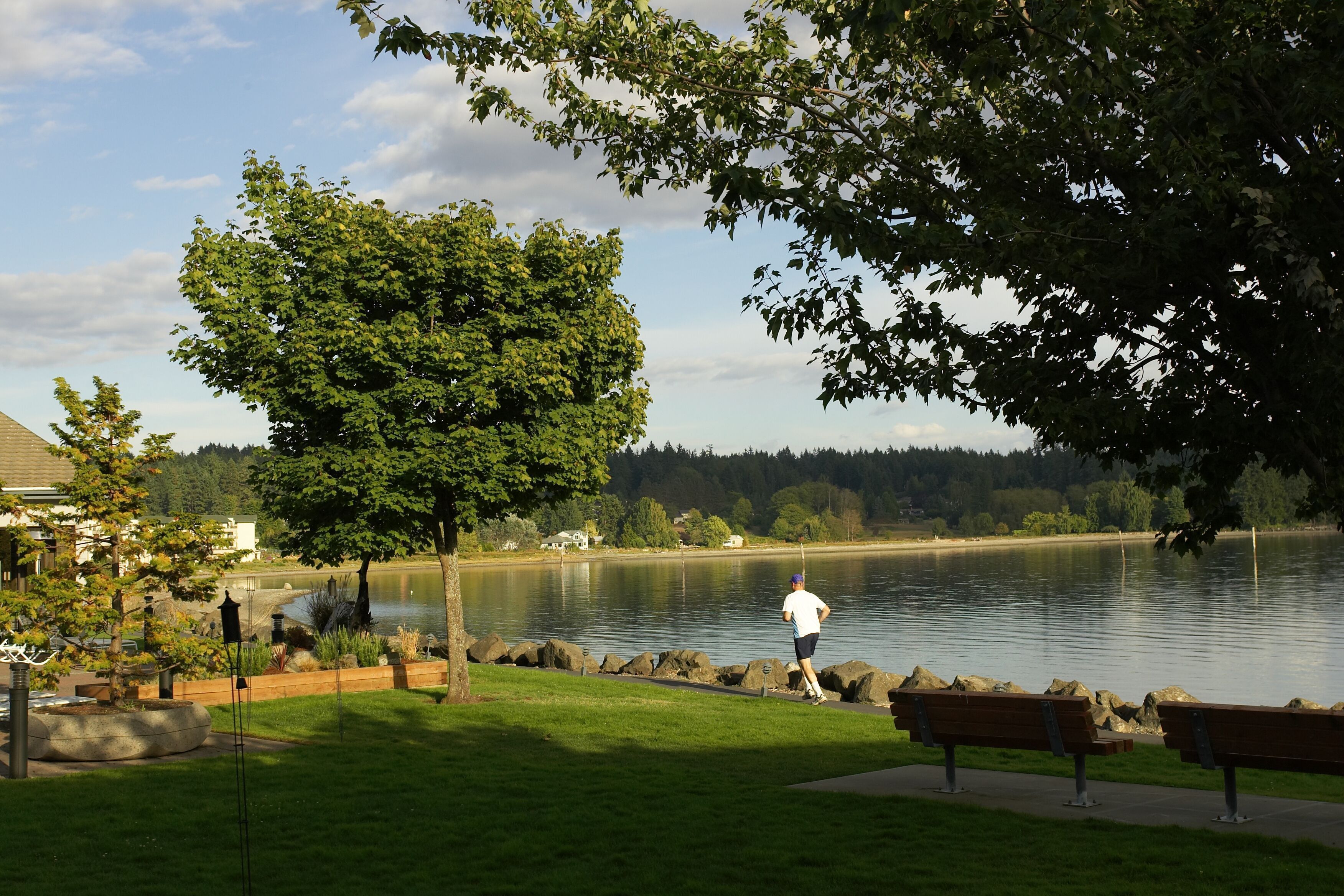 A park with a lake, benches, and a jogging path.