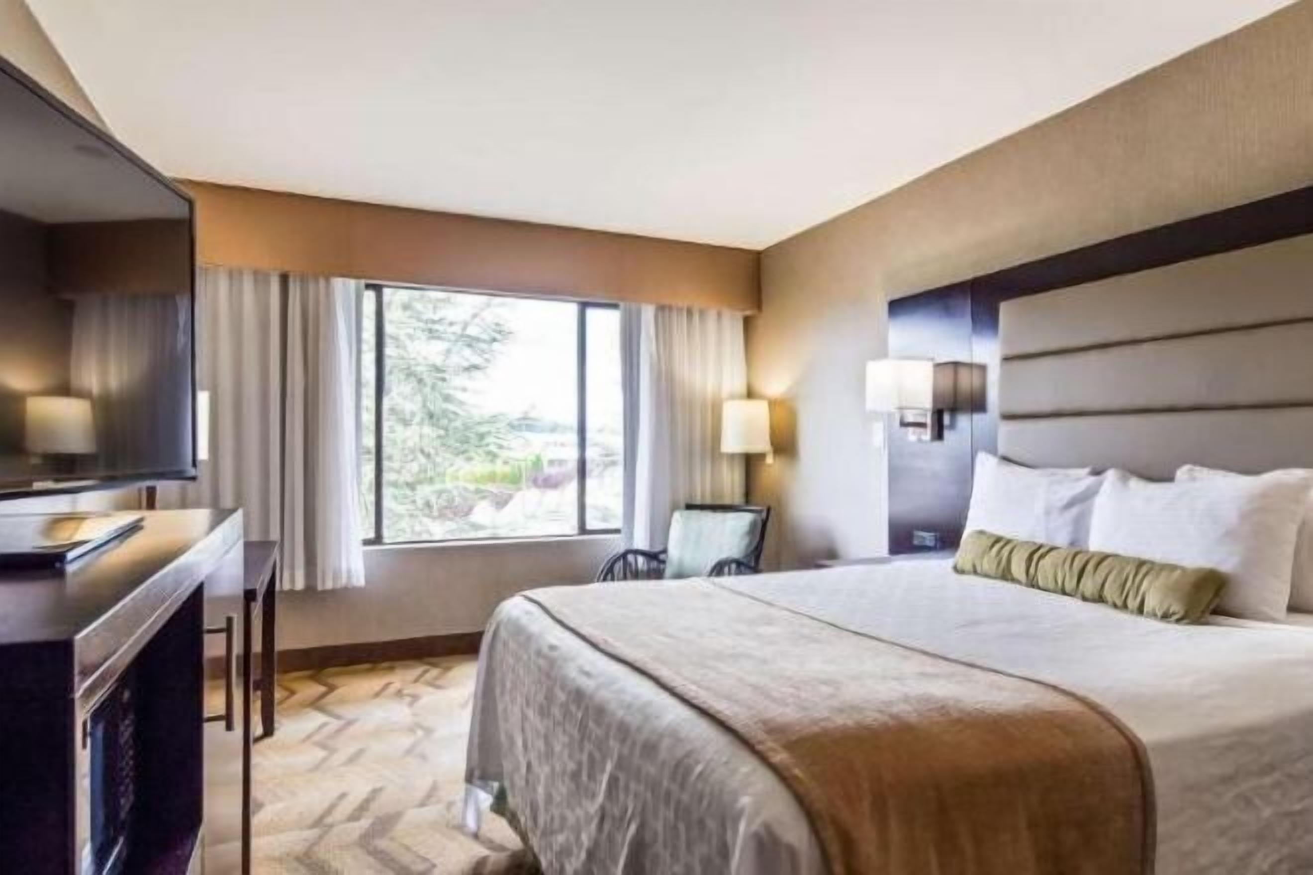 Desk, blackout drapes, iron/ironing board, free cribs/infant beds