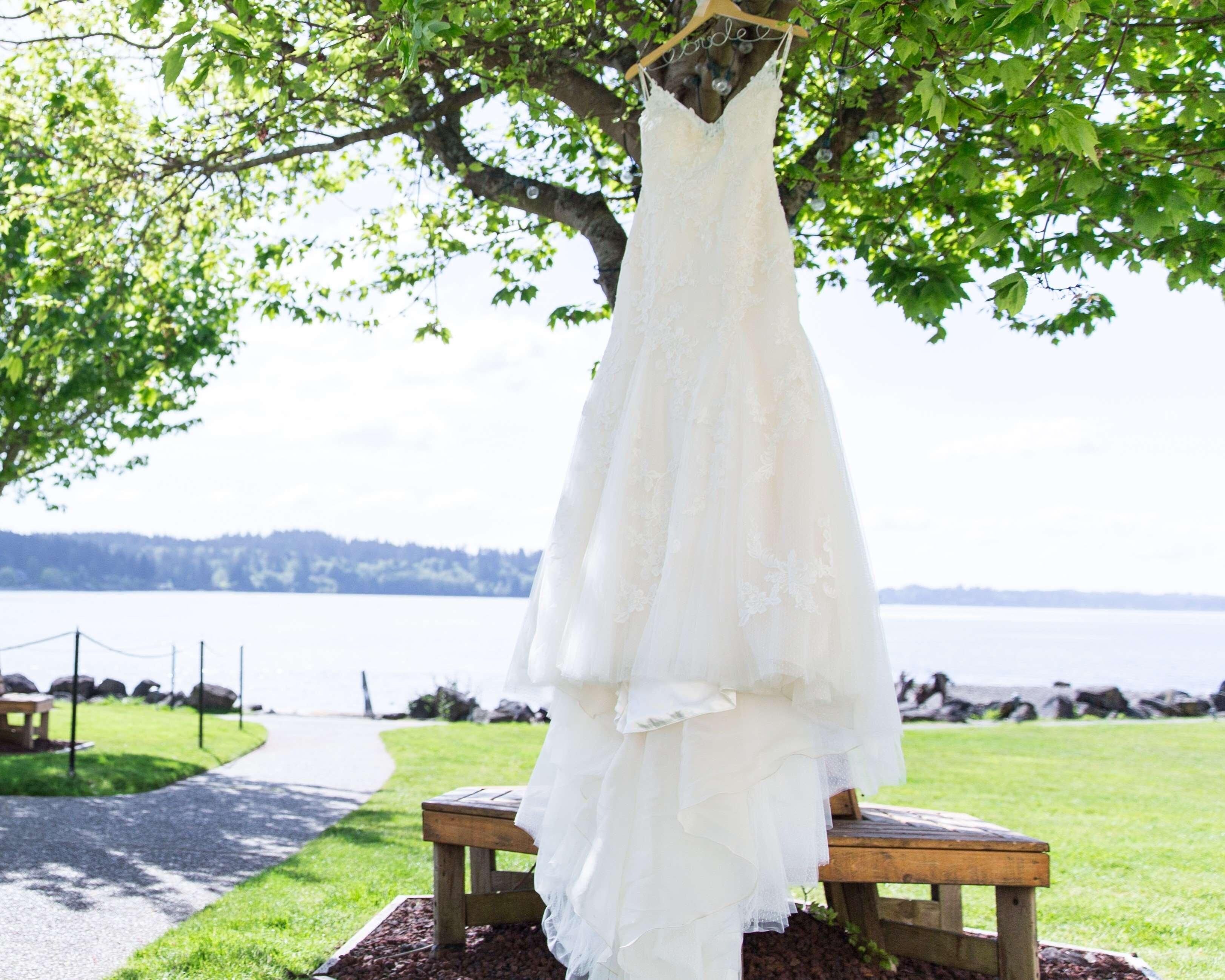 A wedding dress hanging from a tree branch outdoors with a lake and a wooden bench in the foreground.