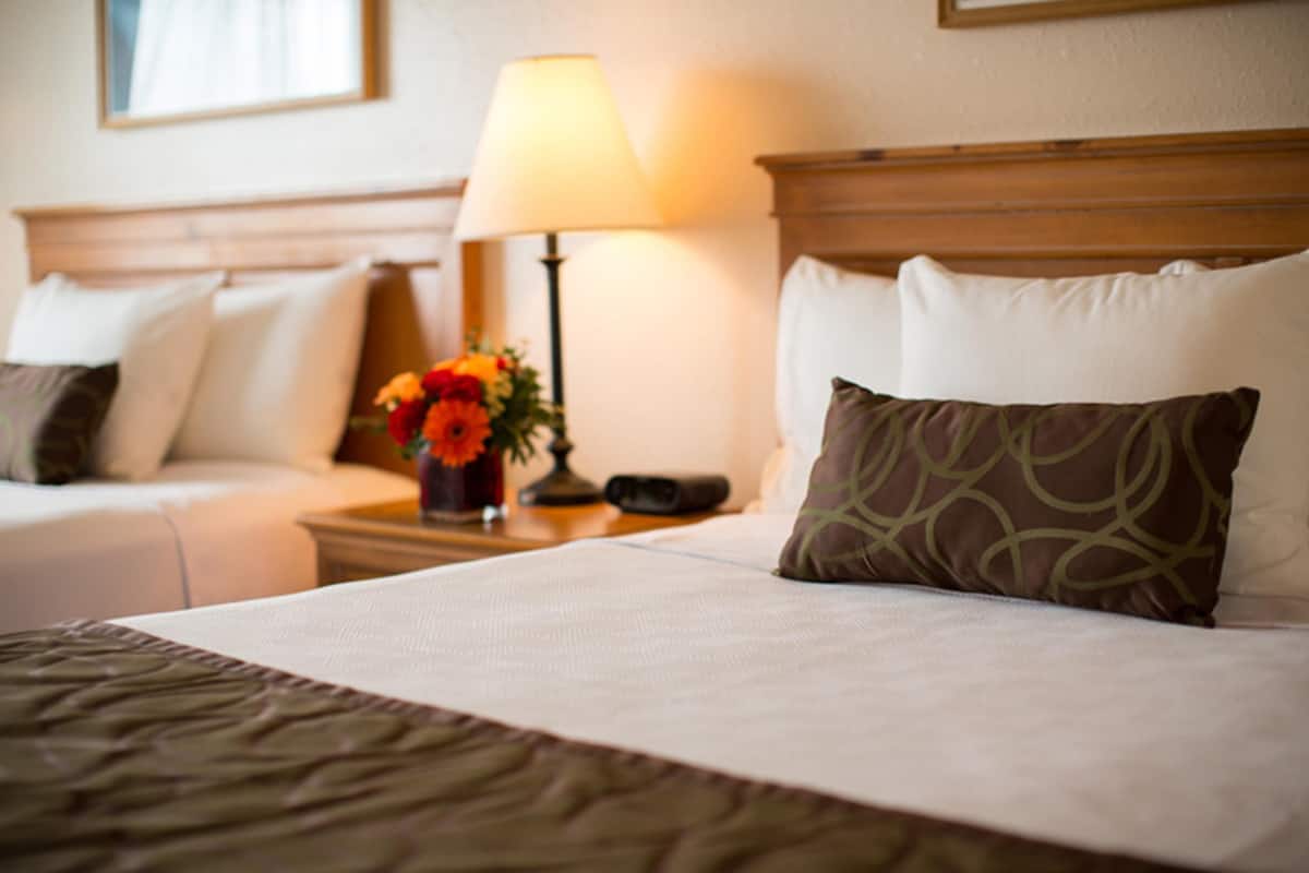A hotel room with a neatly made bed, a bedside lamp, a vase with flowers, and a nightstand with a remote control.