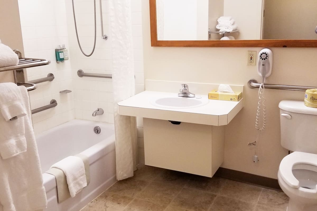 free toiletries, hair dryer, towels