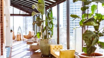 客房 (The Residence) | 客廳 | 50 吋平面電視連衛星電視頻道、電視