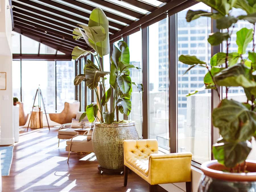 50-inch flat-screen TV with satellite channels, TV