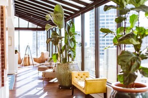 客房 (The Residence) | 起居区 | 50-英寸纯平电视 （配备卫星频道）、电视