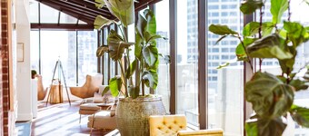 Hotel Theodore Seattle Downtown, Tapestry by Hilton