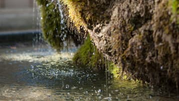 A moss-covered rock formation with water cascading down.