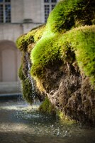 A moss-covered rock formation with water cascading down.