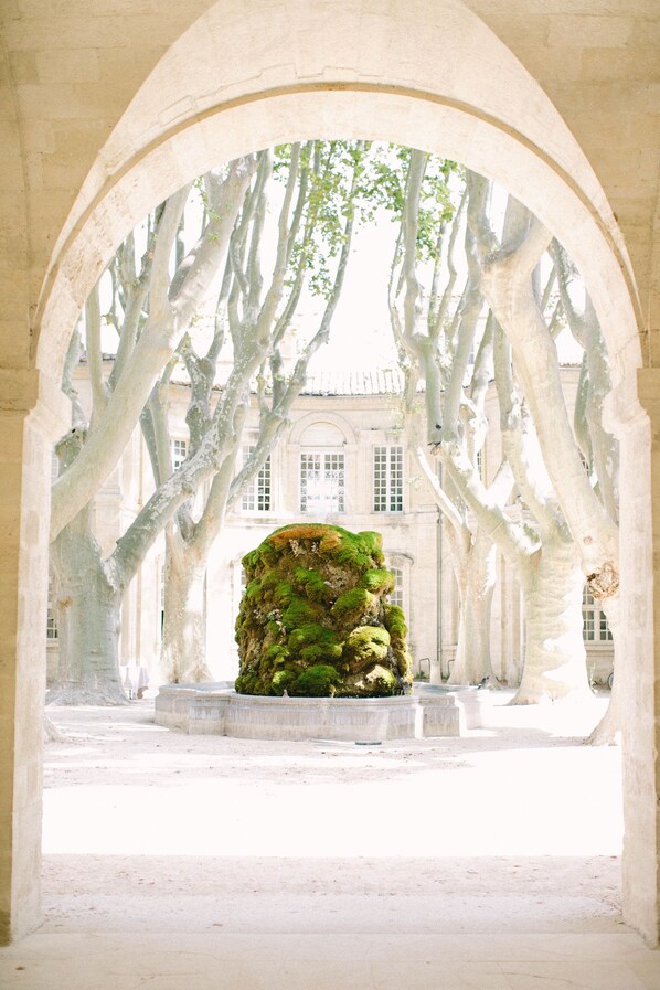 Fountain - Hotel Le Cloitre St Louis (Avignon)