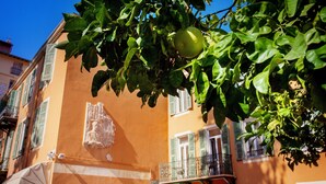 A building with a balcony and a tree with green leaves. - Hotel Oasis (Nice)