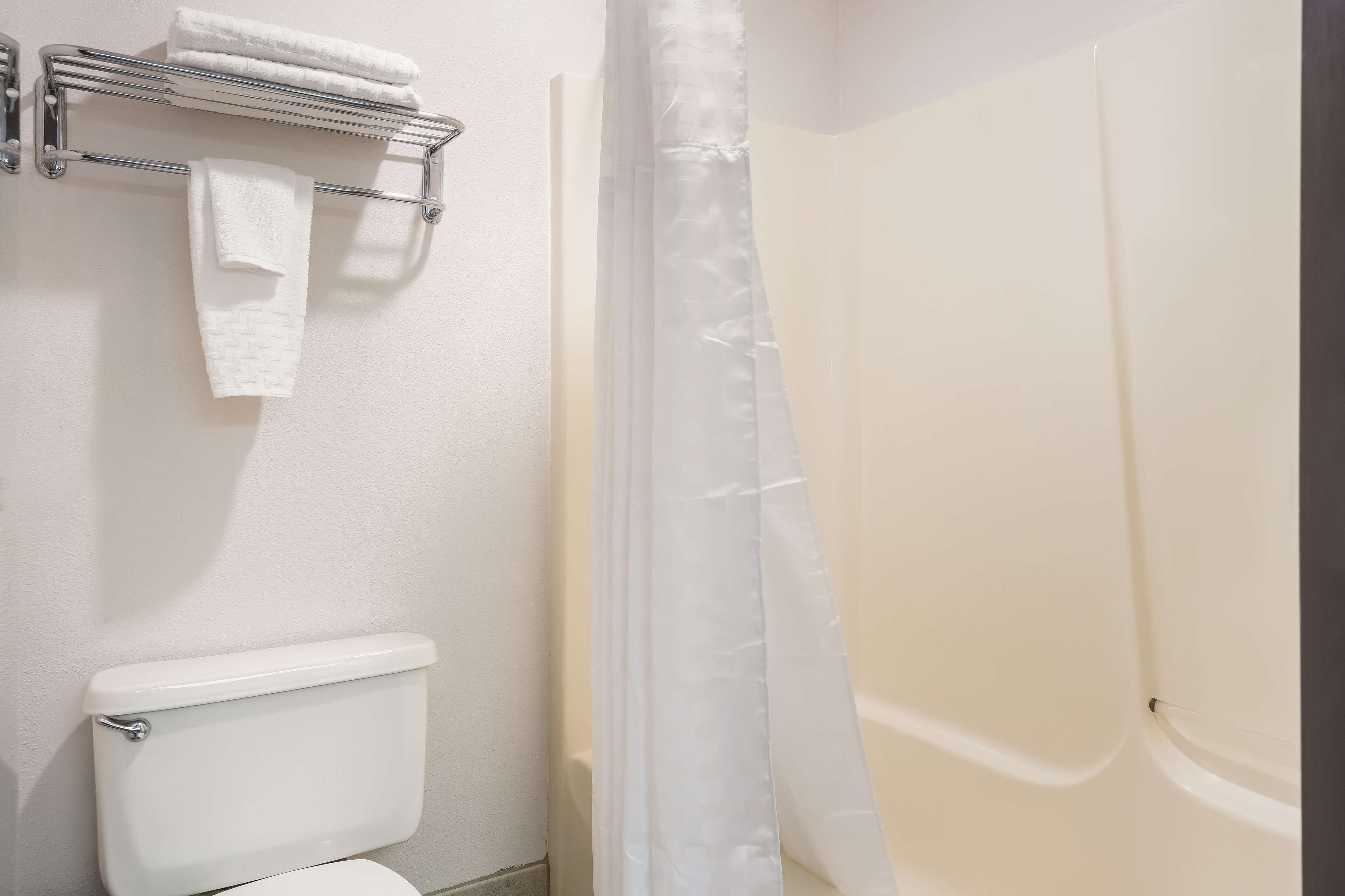 standard room, 1 king bed, accessible, refrigerator & microwave | bathroom | free toiletries, hair dryer, towels