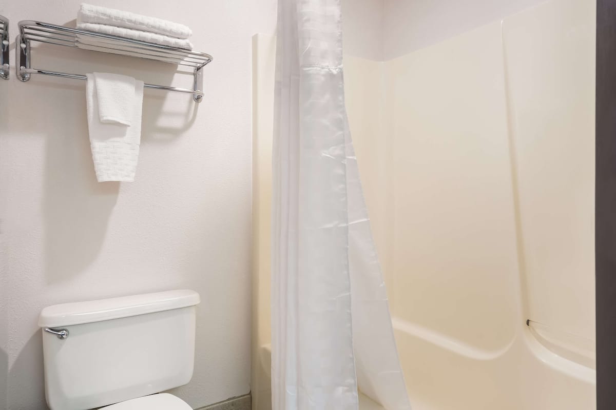 standard room, 1 king bed, accessible, refrigerator & microwave | bathroom | free toiletries, hair dryer, towels