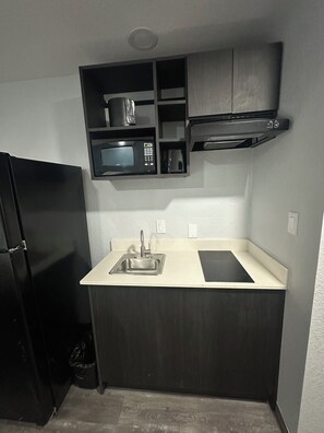 ثلاجة/مجمد بحجم كبير، ميكروويف، موقد طهي مسطح، غسالة أطباق