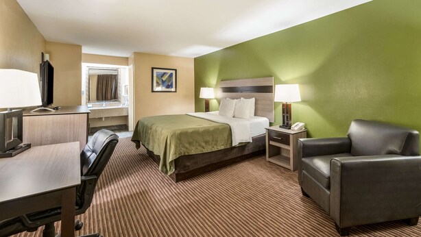 A hotel room with a bed, a desk with a computer, a chair, a nightstand with a lamp, and a green accent wall.