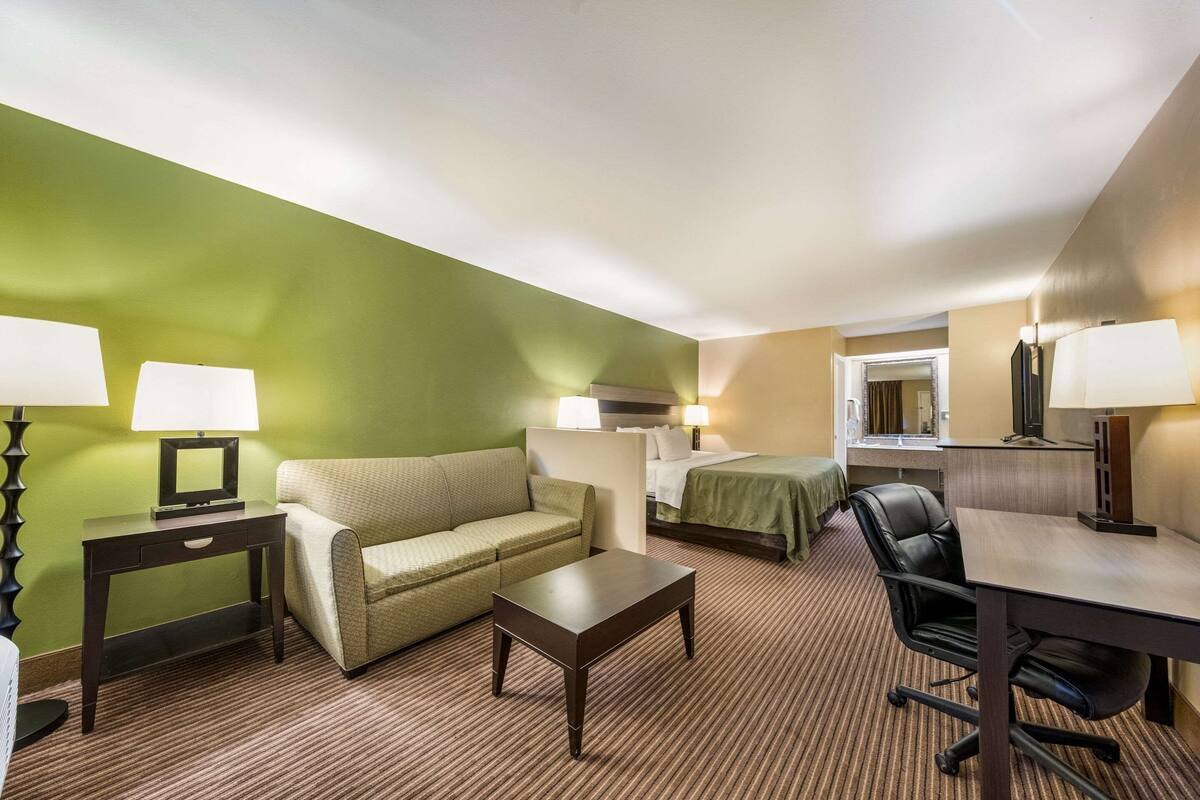 A hotel room with a green wall, a sofa, a bed, a desk, and a chair.