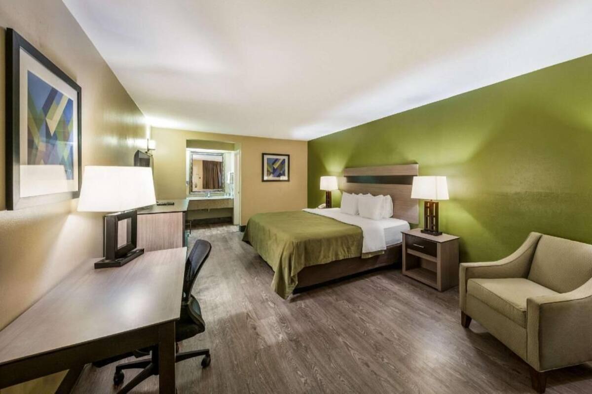 A hotel room with a bed, desk, chair, and a green wall.