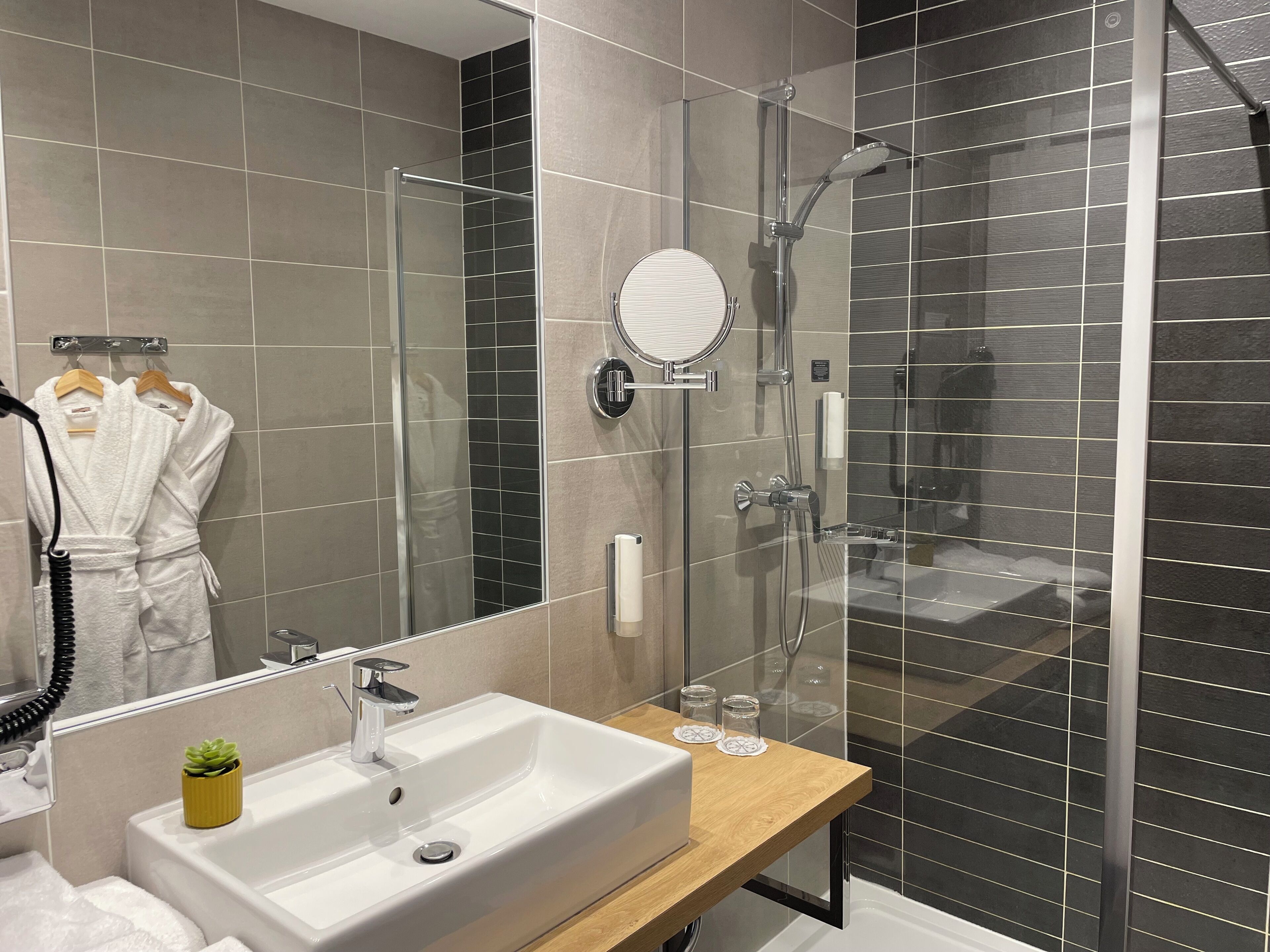 Un baño moderno con cabina de ducha de vidrio, un lavabo blanco con una pequeña planta en maceta y un mueble de tocador de madera.