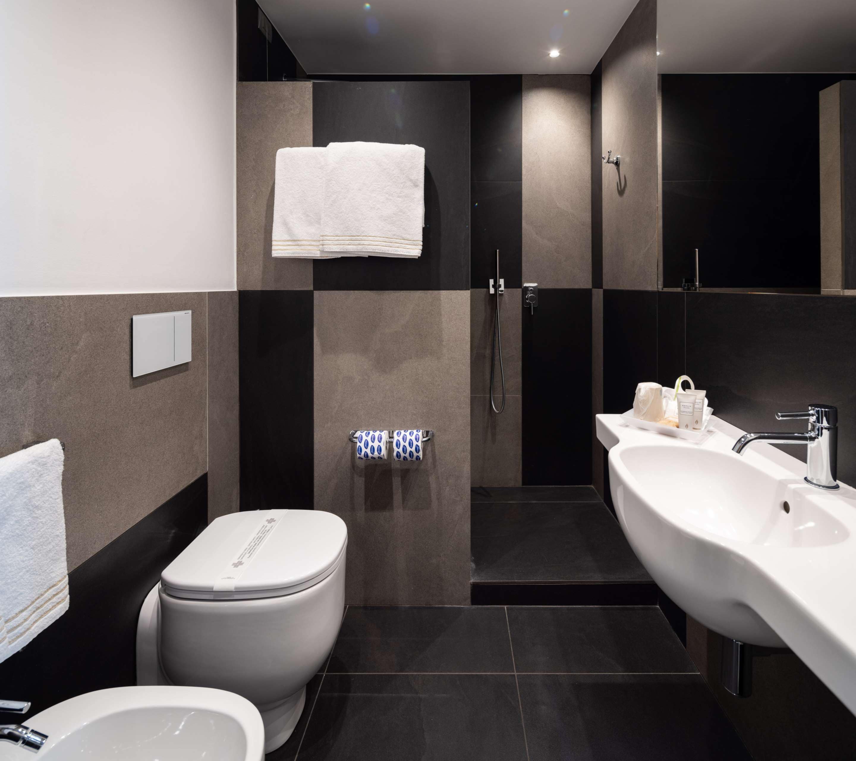 comfort room, 1 queen bed, non smoking | bathroom | shower, hair dryer, bidet, towels