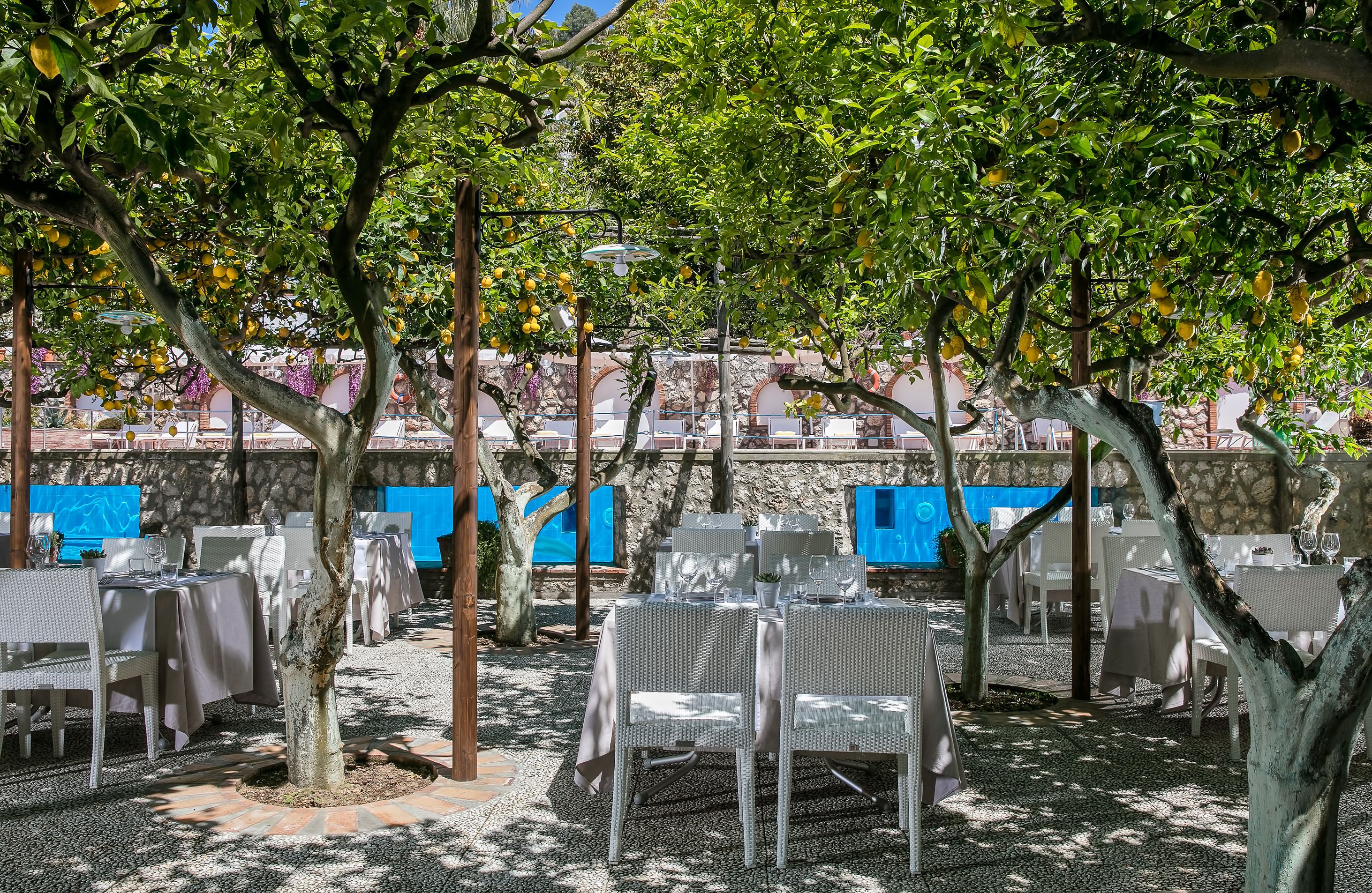 An outdoor dining area with tables and chairs, surrounded by trees and a stone wall.
