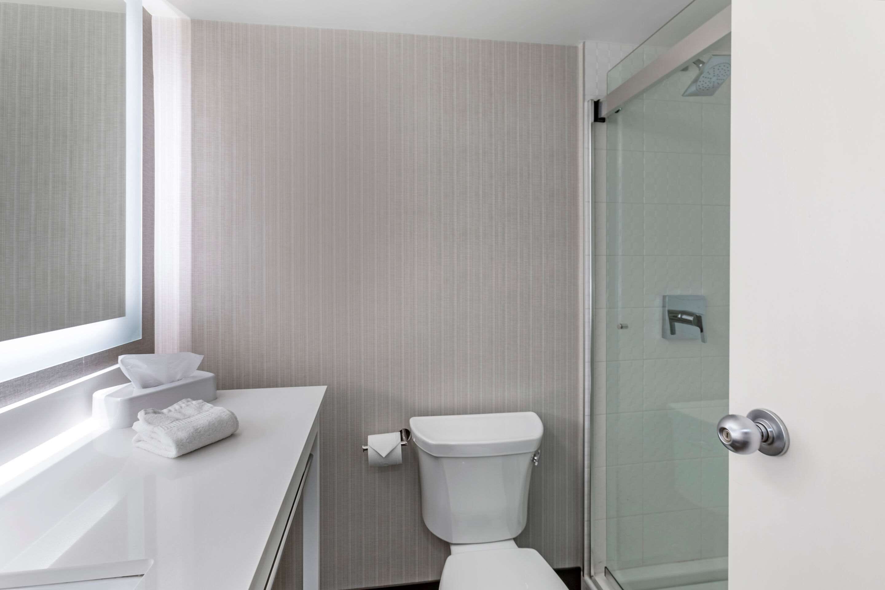 combined shower/bathtub, free toiletries, hair dryer, towels