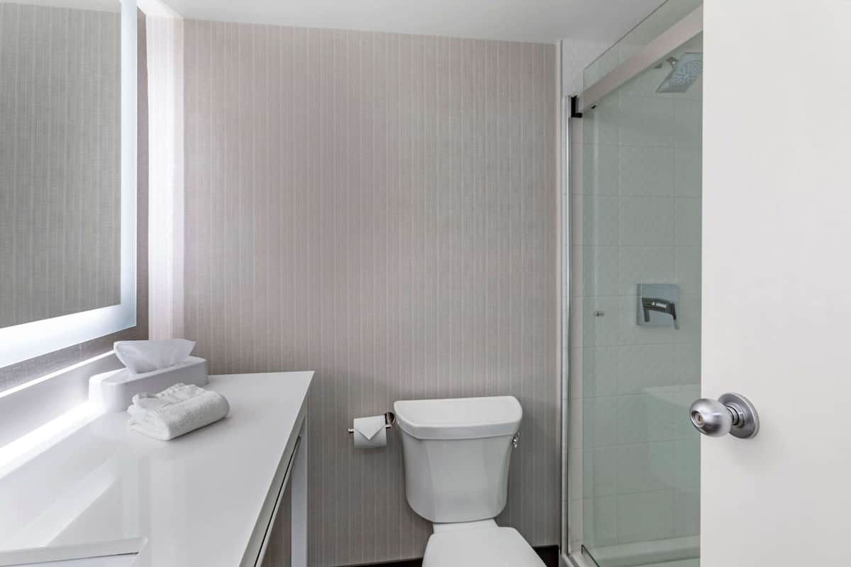 combined shower/bathtub, free toiletries, hair dryer, towels