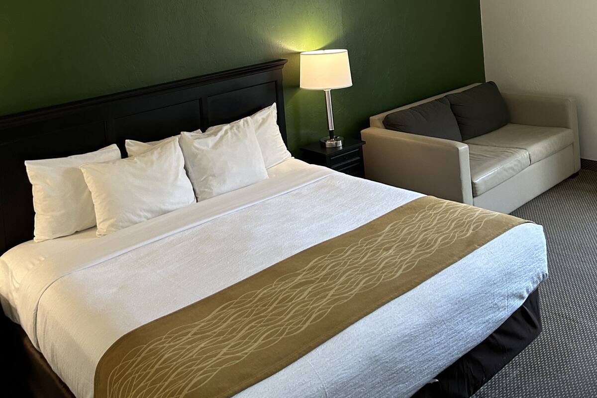Una habitación de hotel con una cama grande, una mesita de noche con lámpara, un sofá y una pared verde decorativa.