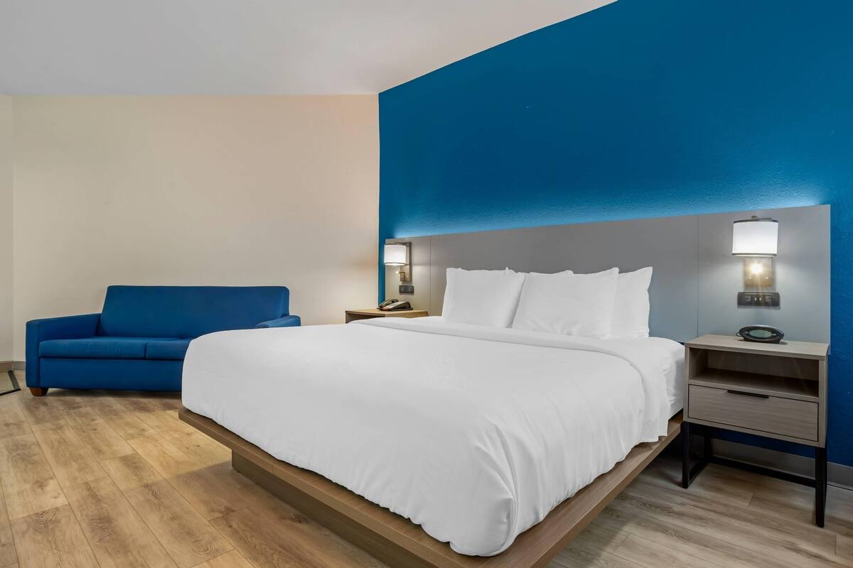 A hotel room with a bed, a blue sofa, a nightstand with a lamp, and a wall with a blue accent.