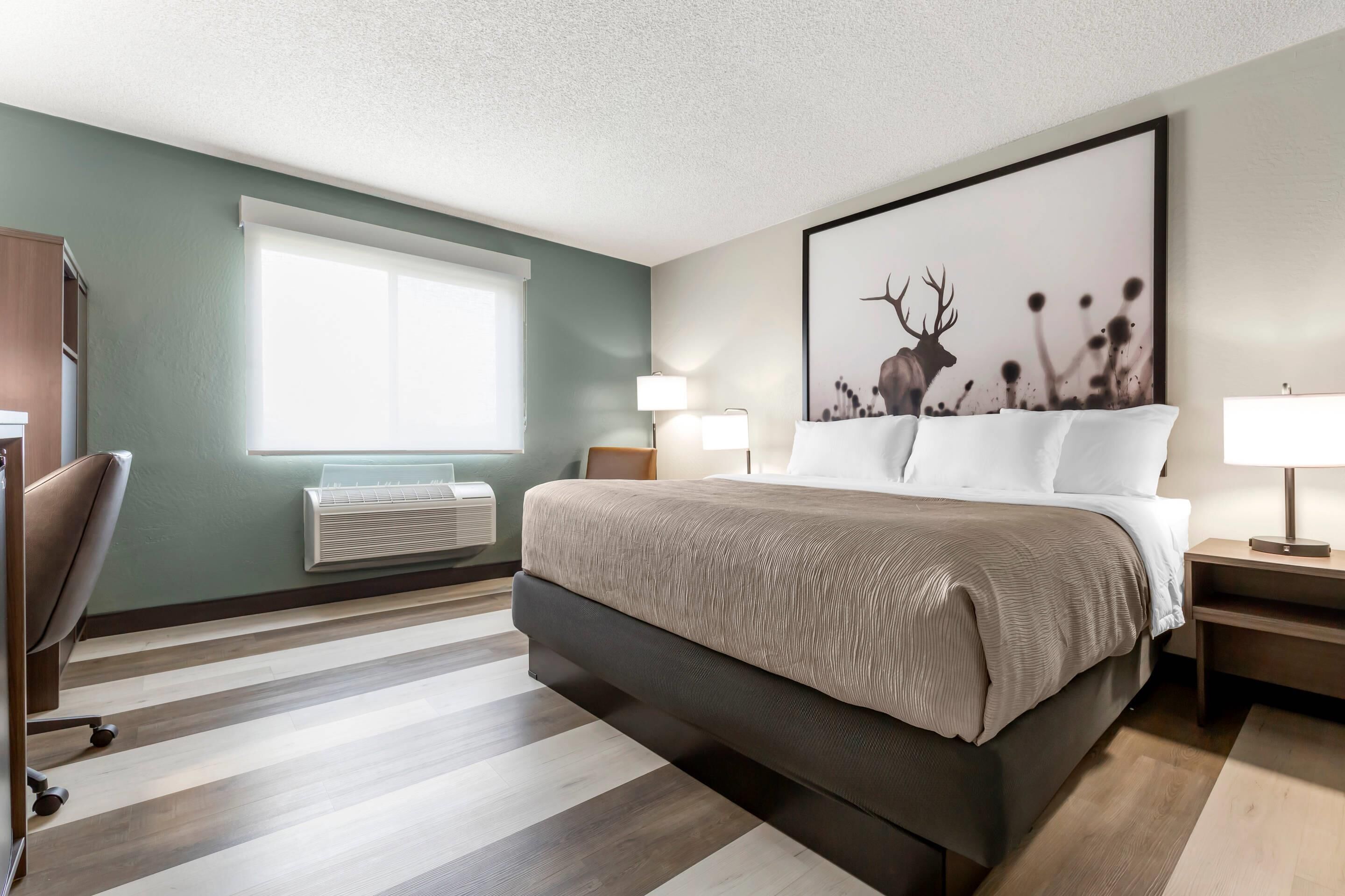 Habitación, 1 cama King size, para no fumadores | Escritorio, cortinas blackout y tabla de planchar con plancha 