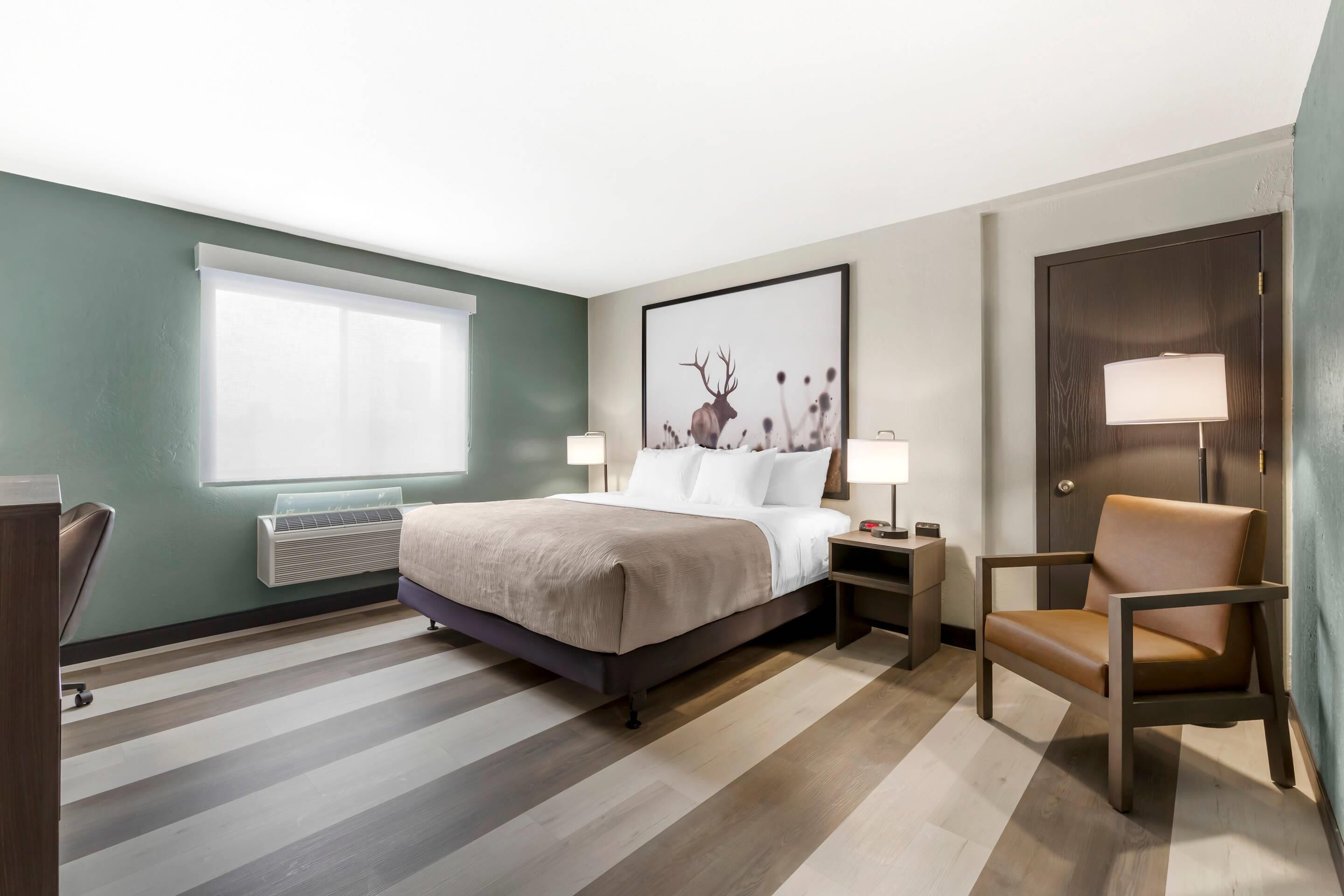 A hotel room with a bed, a chair, a nightstand, a lamp, a window, and a framed picture on the wall.