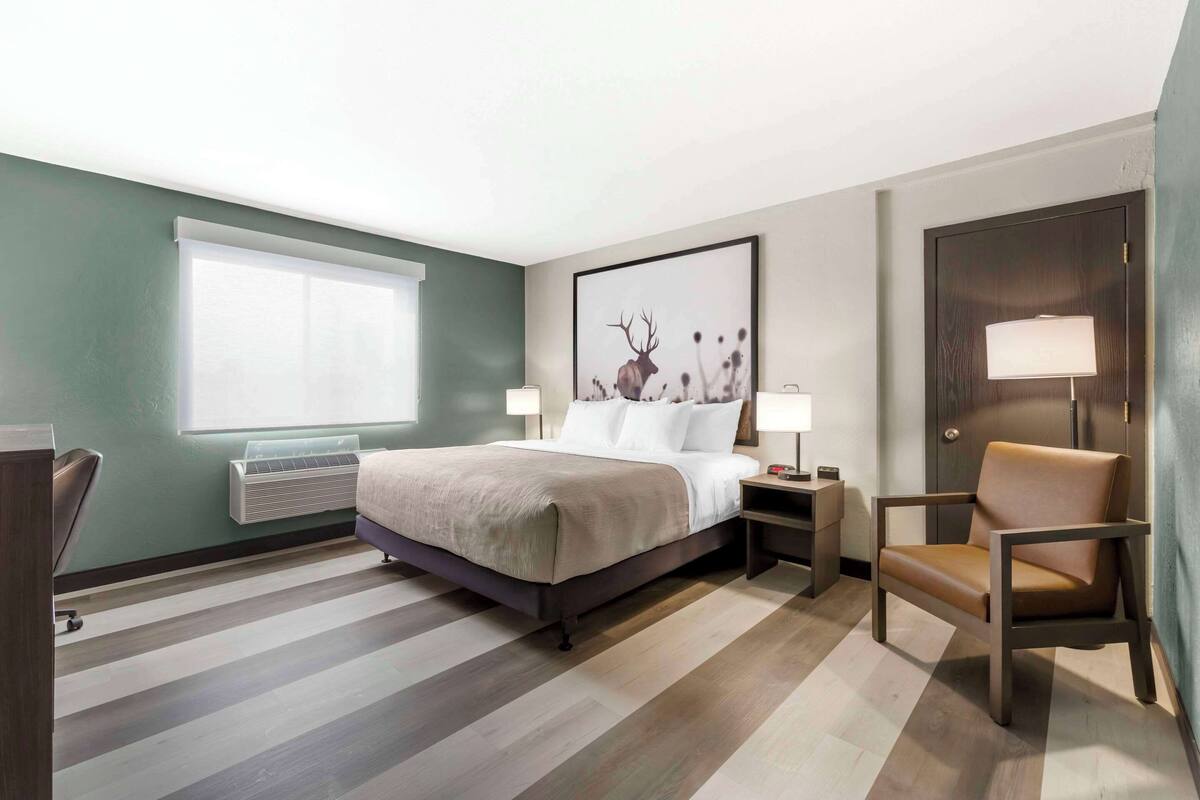 room, 1 king bed, accessible, non smoking | desk, blackout curtains, iron/ironing board, free cots/infant beds