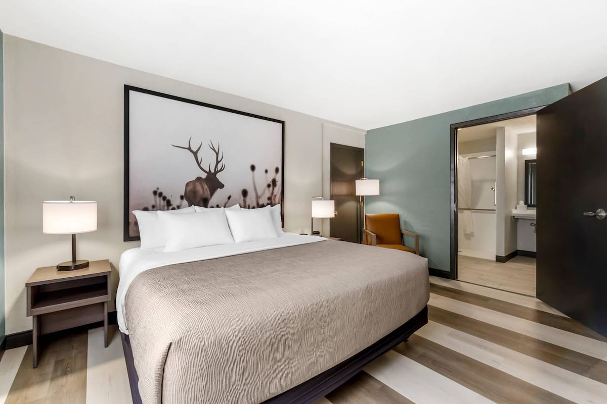 Quarto de hotel com uma cama grande, duas mesas de cabeceira, um criado-mudo, uma luminária na parede, uma cadeira e um guarda-roupa.