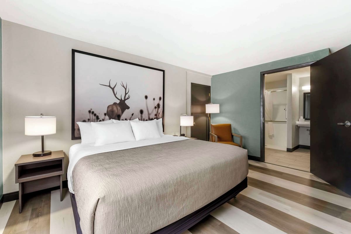Room, 1 King Bed, Accessible, Non Smoking