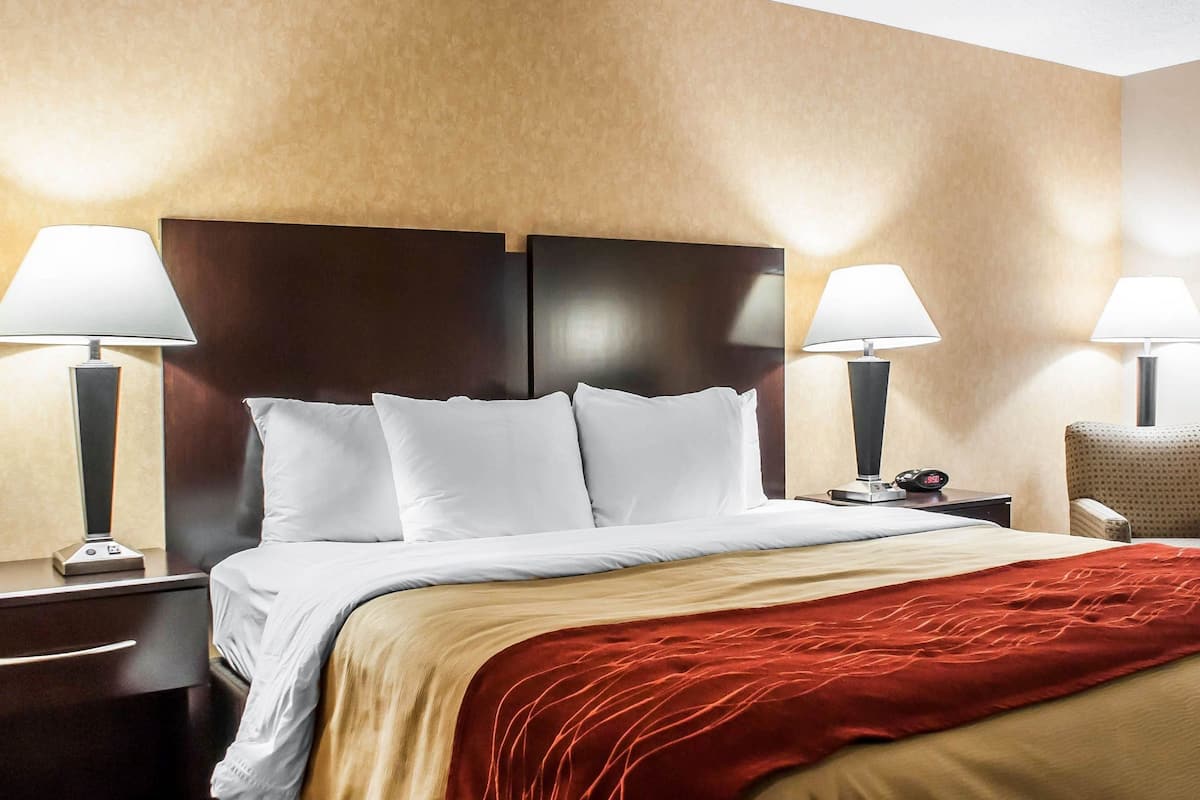 Desk, iron/ironing board, free WiFi, bed sheets