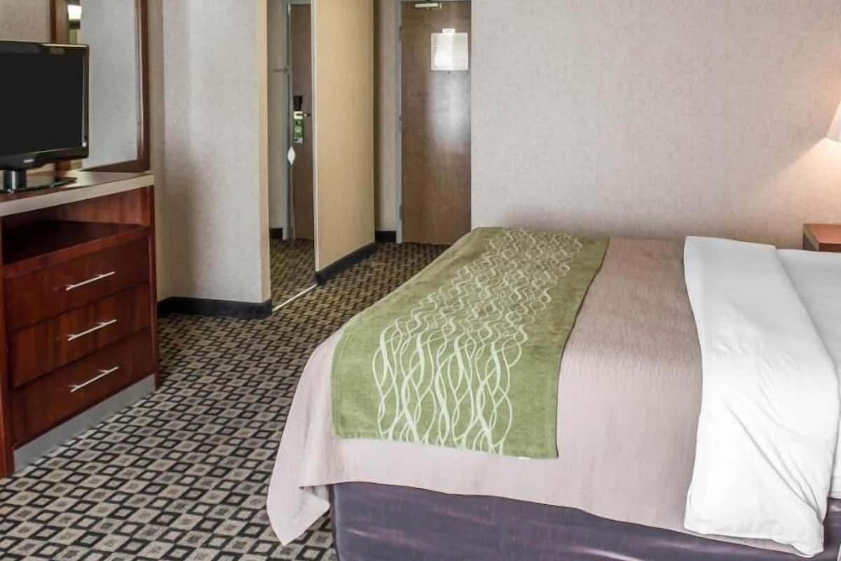 Luxe beddengoed, een bureau, een strijkplank/strijkijzer, gratis wifi