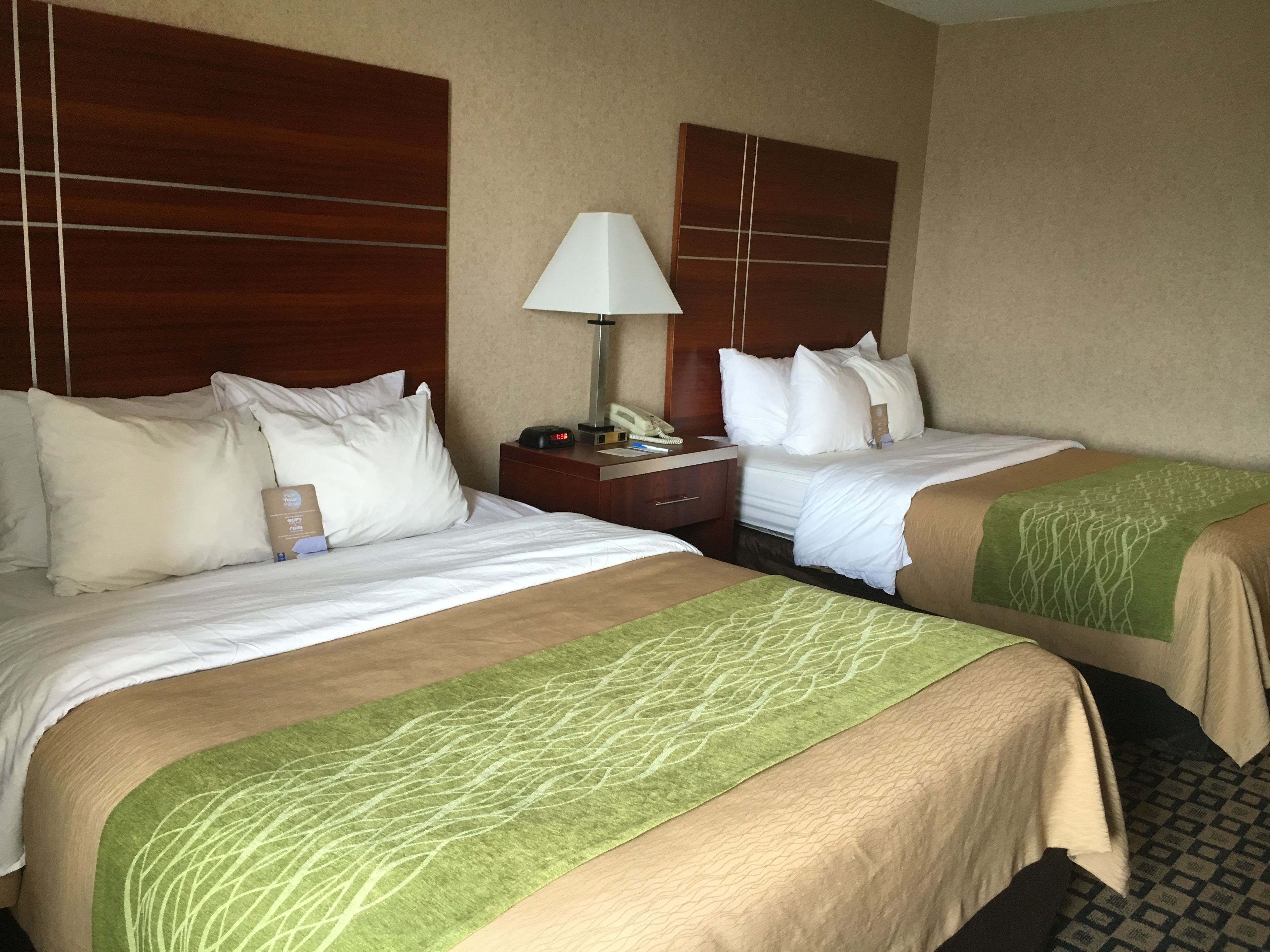 Habitación de hotel con dos camas, cada una con ropa blanca y almohadones verdes. Hay una mesita de noche con una lámpara y un teléfono entre las camas.