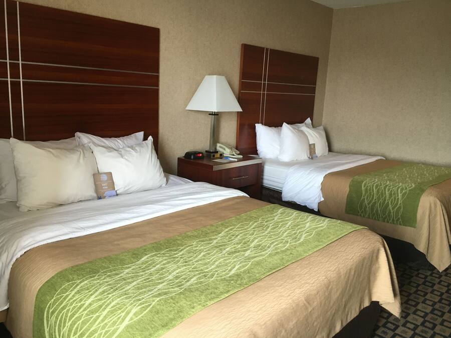 A hotel room with two beds, each with white bedding and green throw pillows. There is a nightstand with a lamp and a phone between the beds.