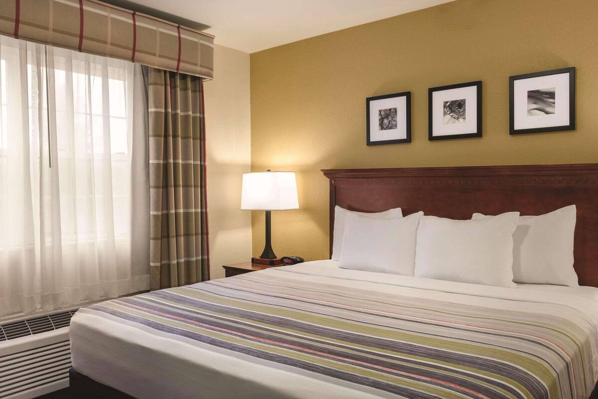 A hotel room with a large bed, a bedside table with a lamp, and three framed pictures on the wall.