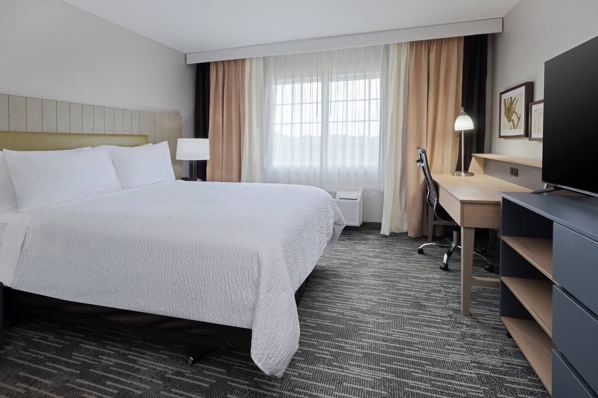 Habitación estándar, 1 cama Queen size | 1 habitación, ropa de cama de alta calidad y escritorio