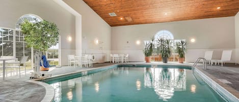 Indoor pool, sun loungers